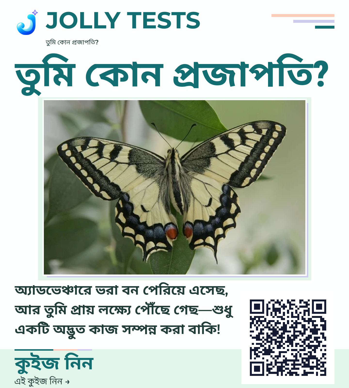 কিউইজ পোস্টার