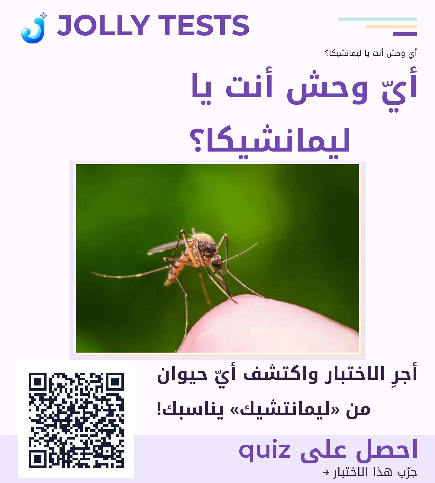 ملف الكويش
