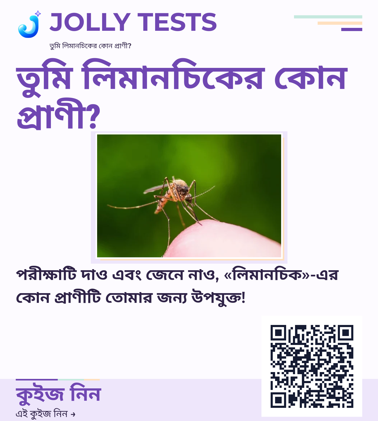 কিউইজ পোস্টার