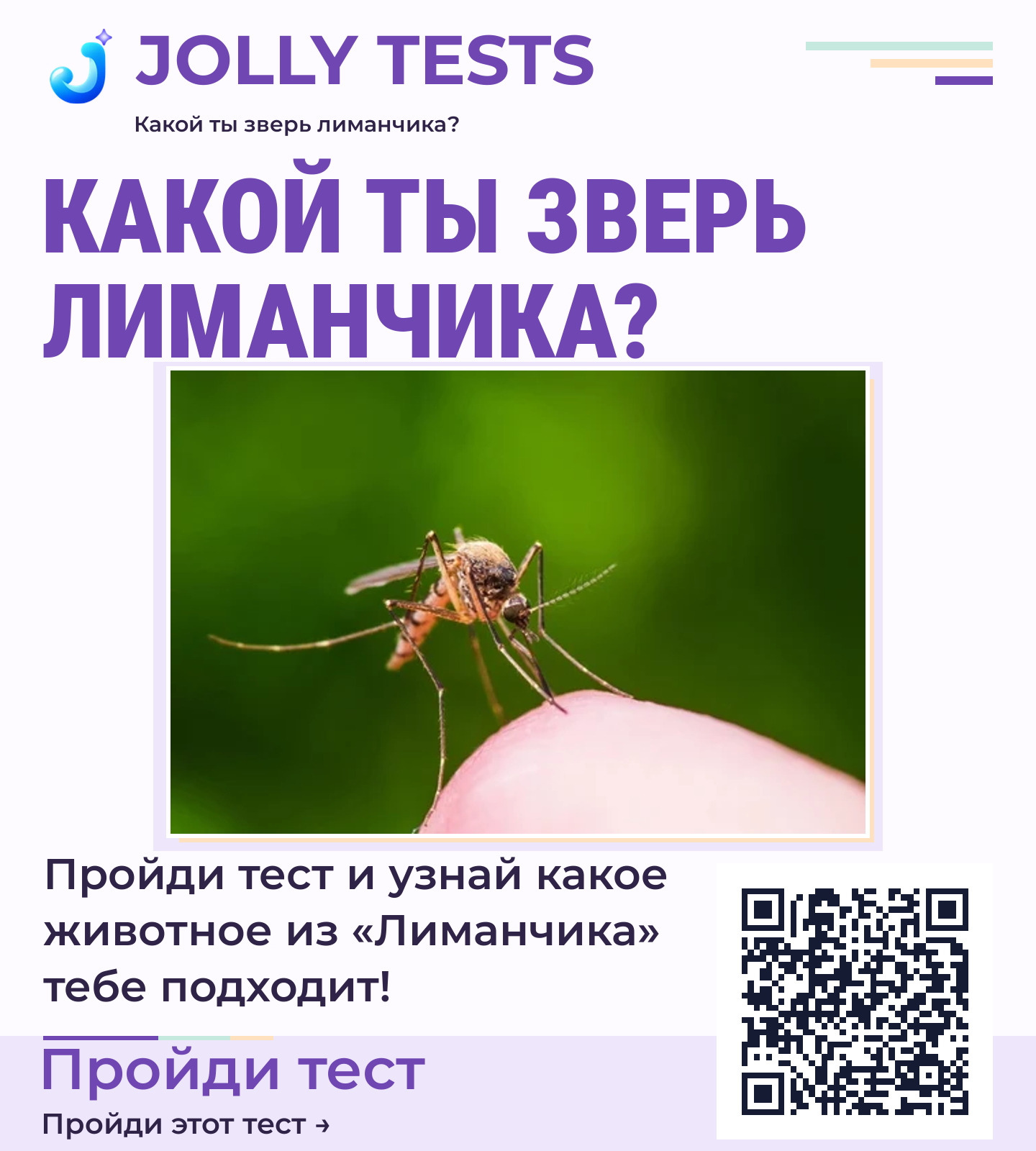 Постер теста