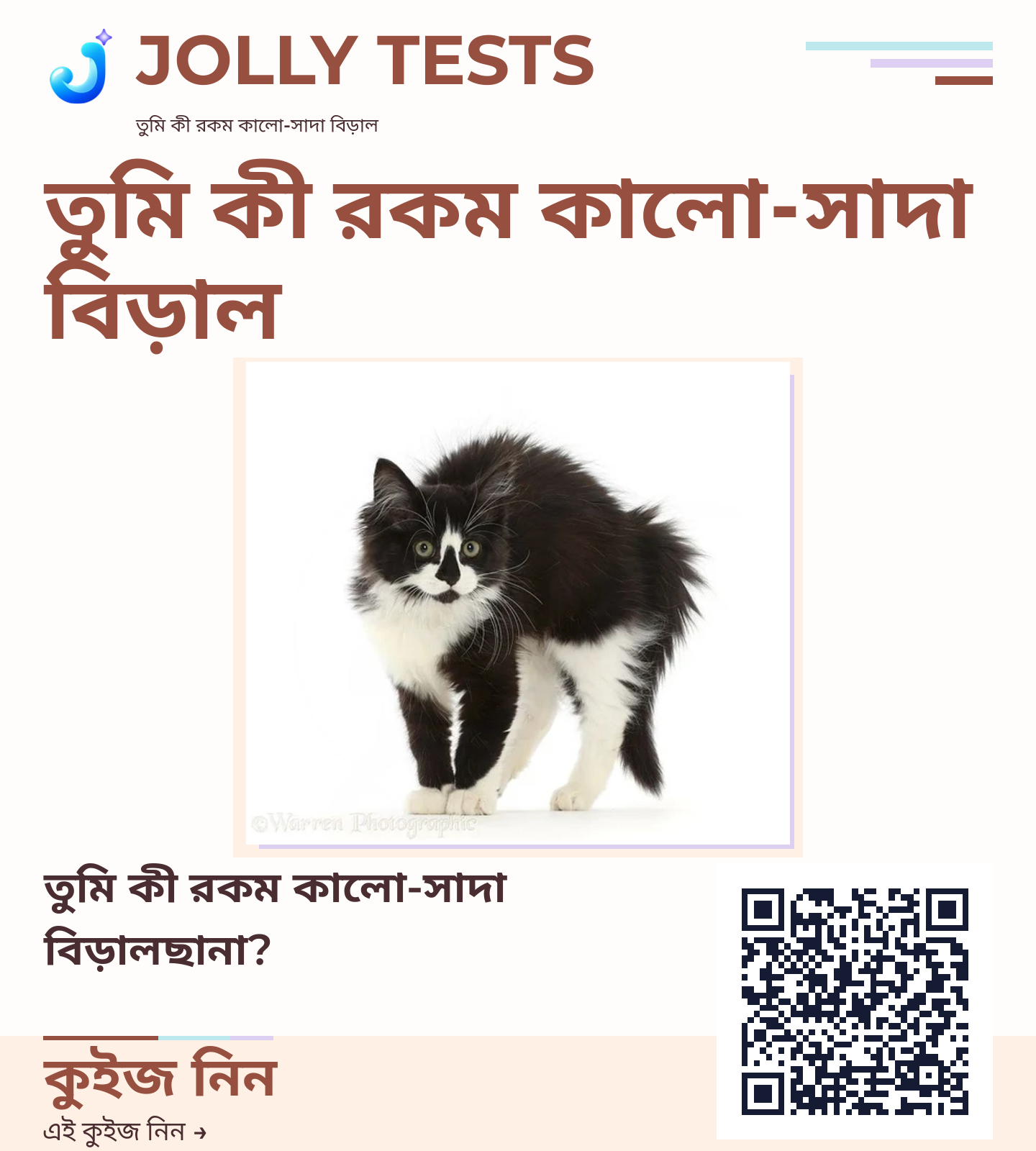 কিউইজ পোস্টার