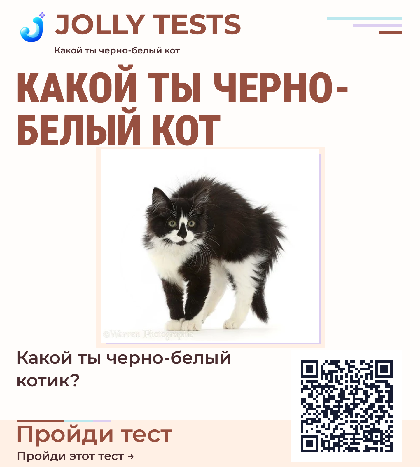 Постер теста