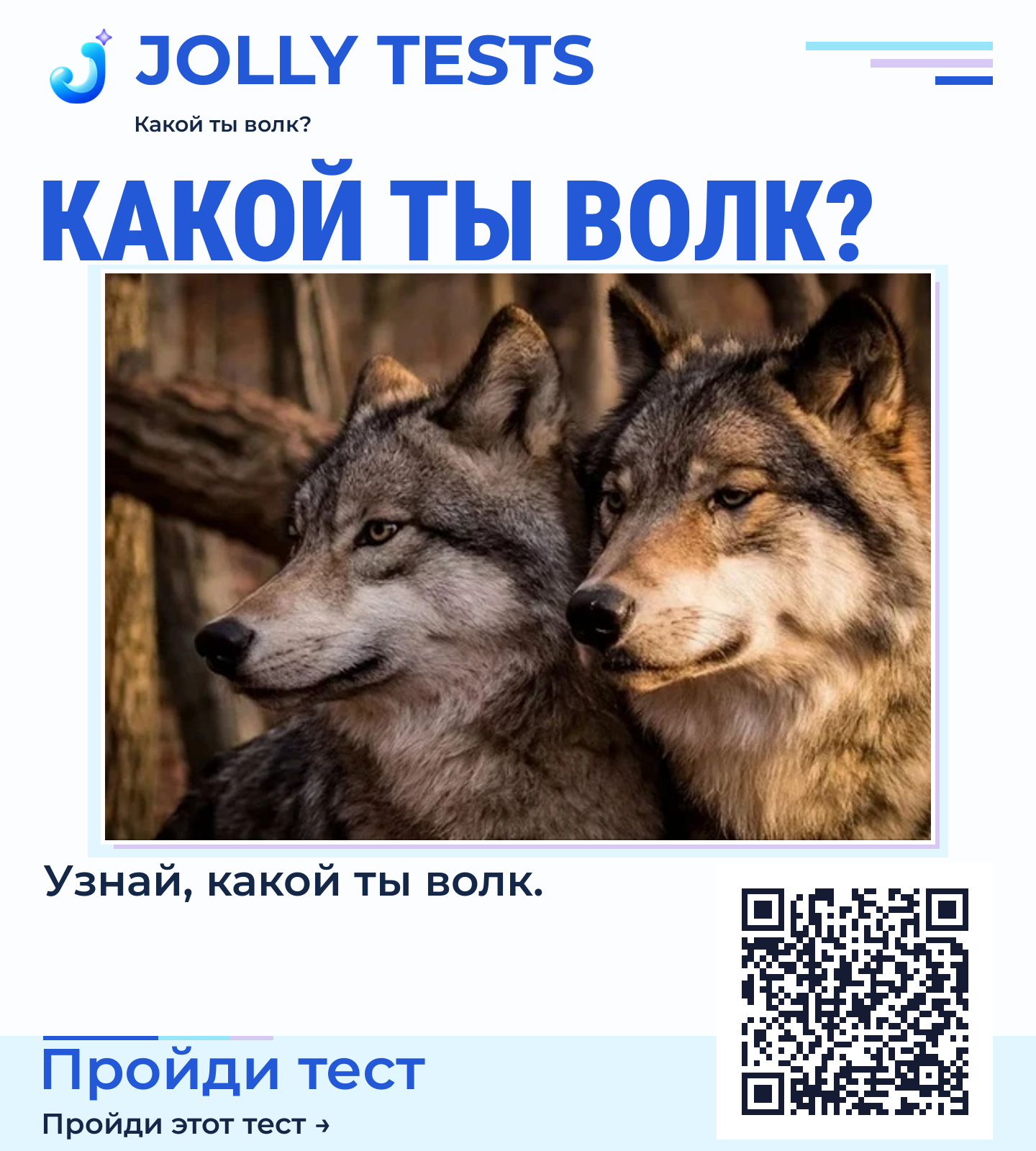 Постер теста