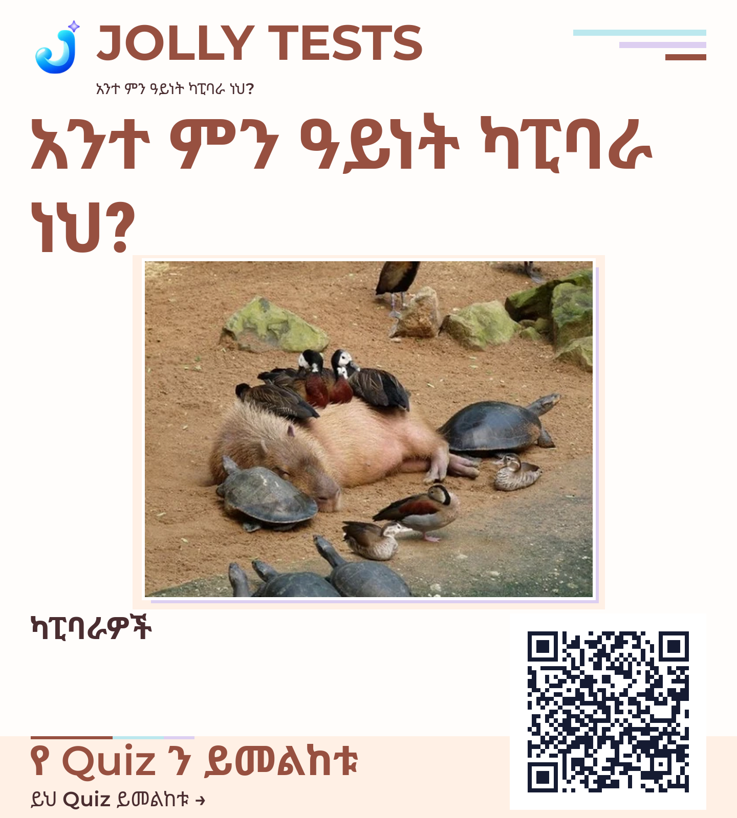 የቪዲዮ ፖስታ
