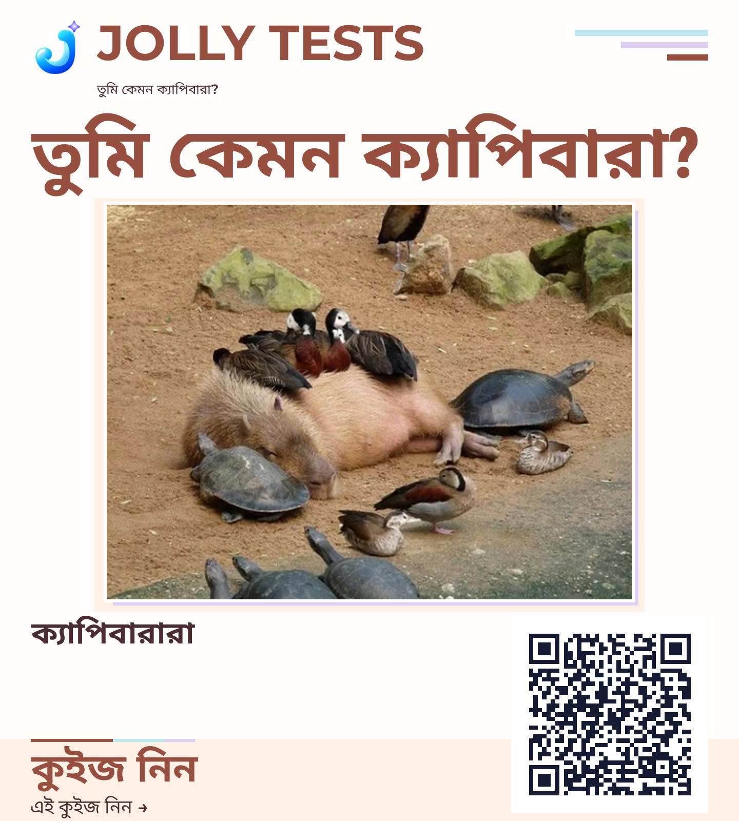কিউইজ পোস্টার