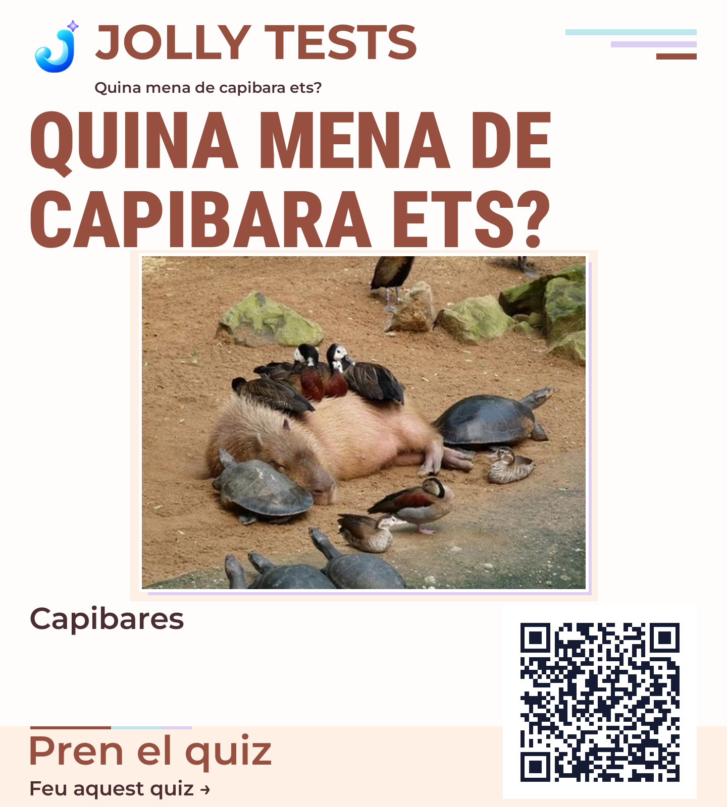 Posters de quiz