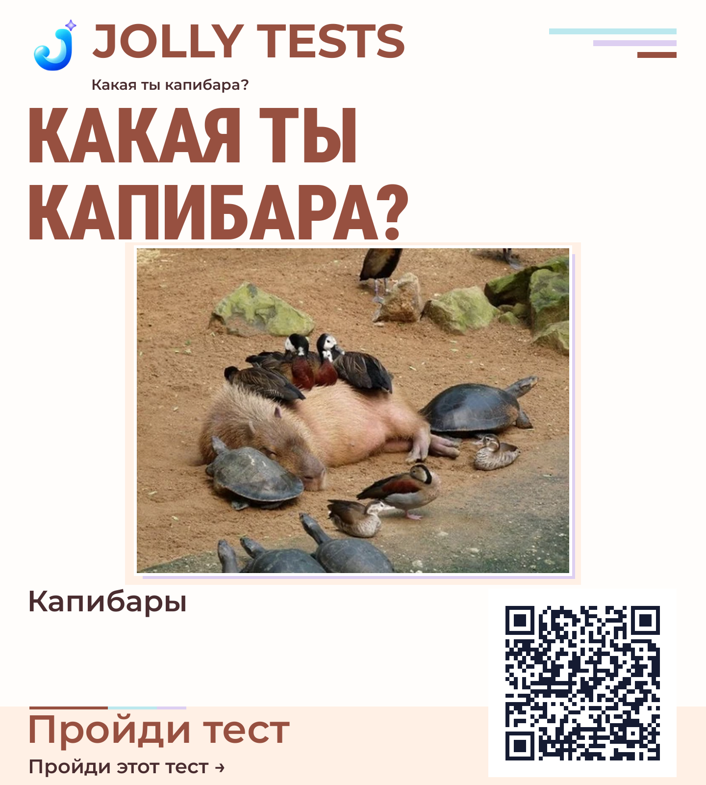 Постер теста