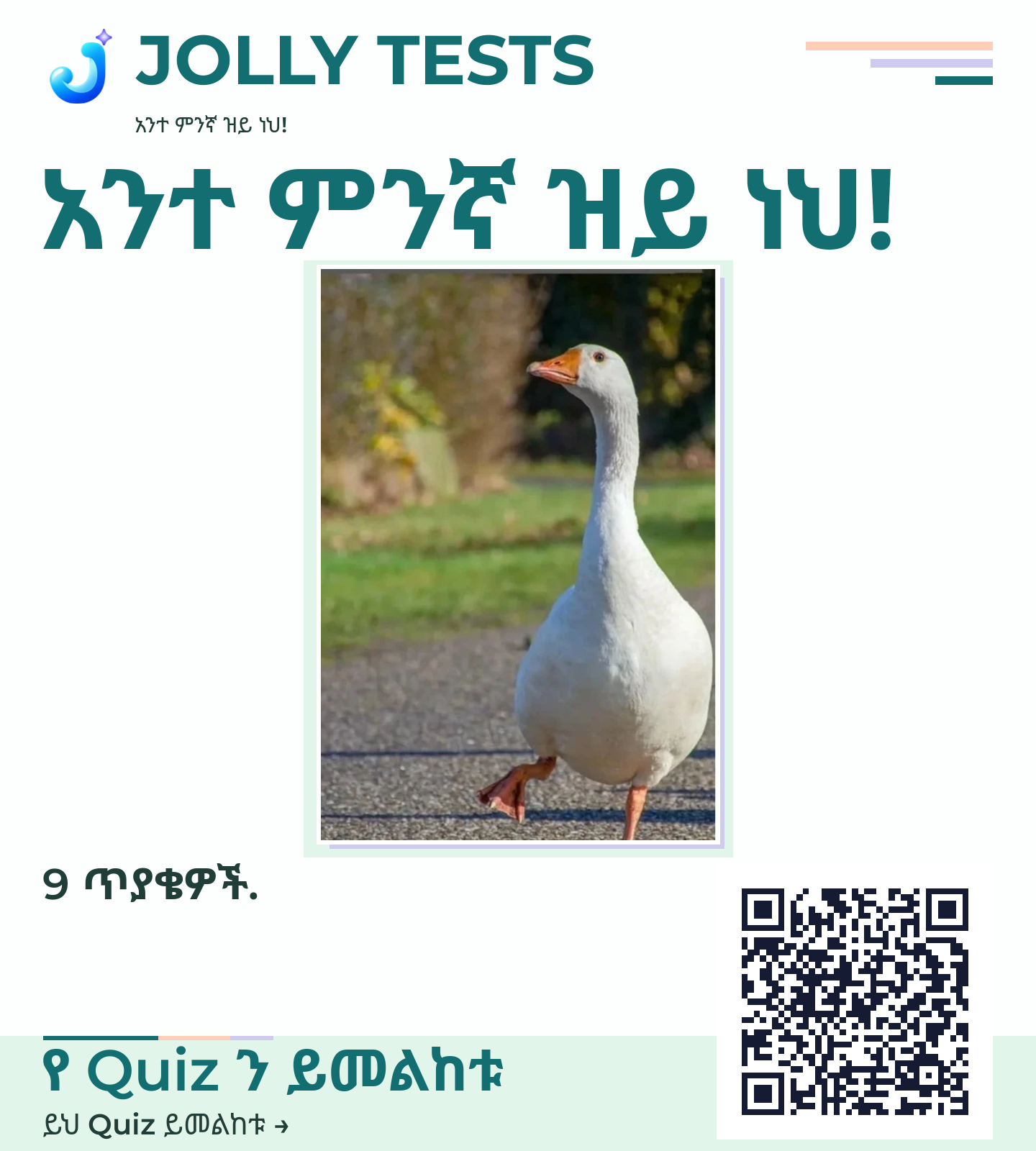 የቪዲዮ ፖስታ