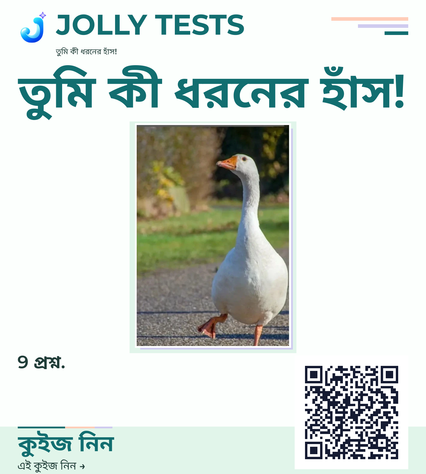 কিউইজ পোস্টার