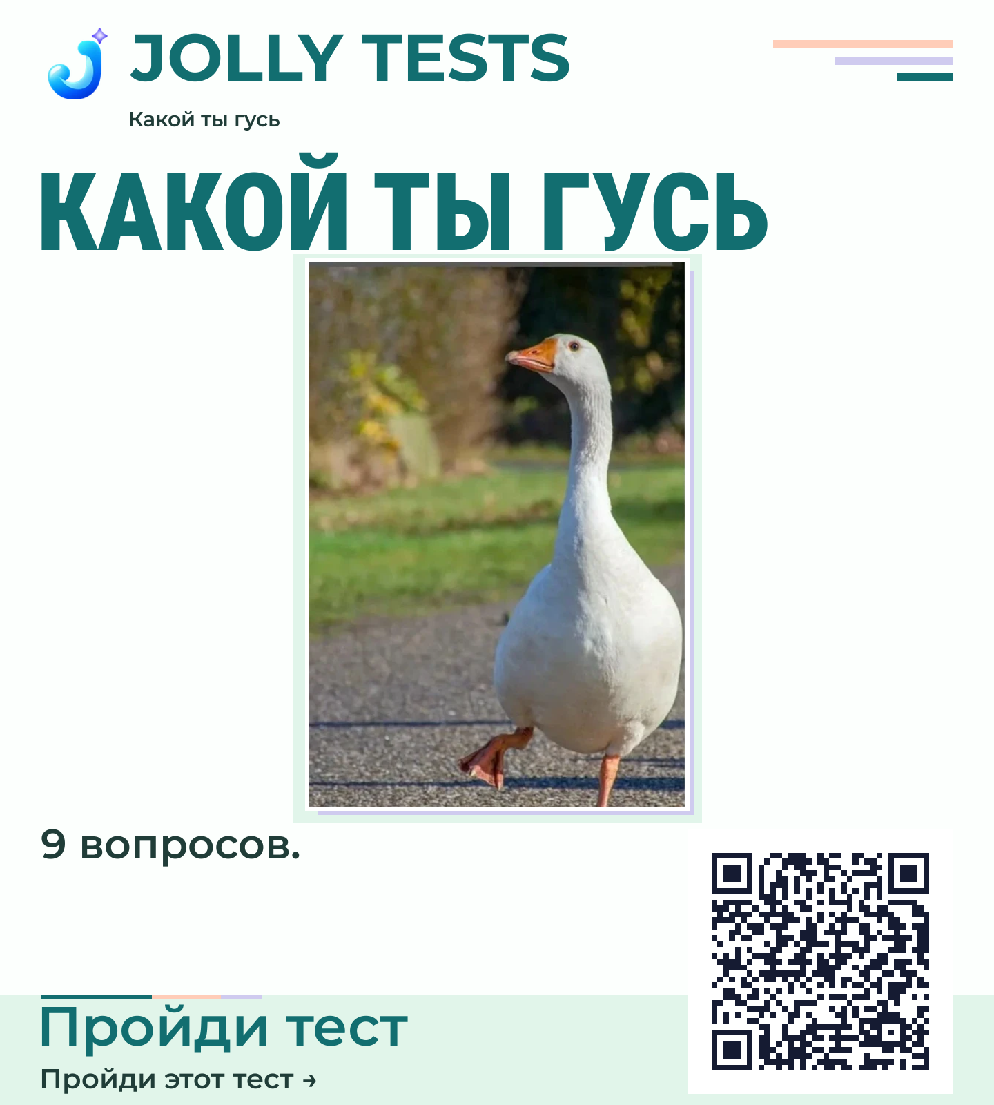 Постер теста